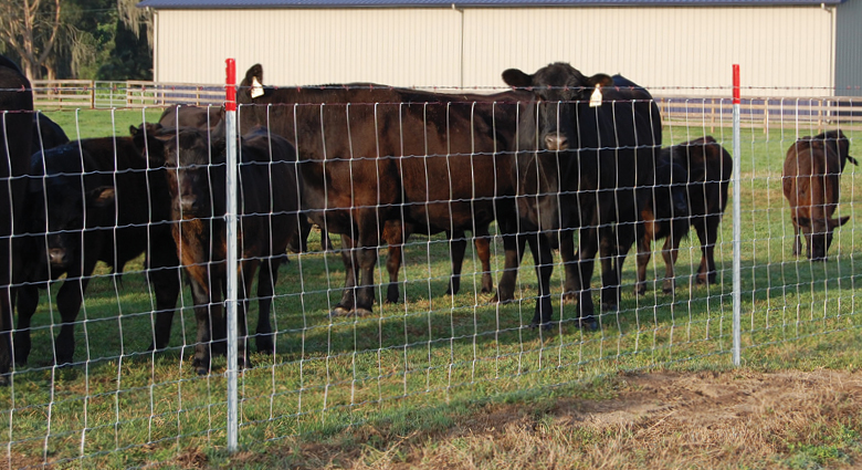 Weaving technology of cattle fence: creating a solid fence Weaving technology of cattle fence: creating a solid fence