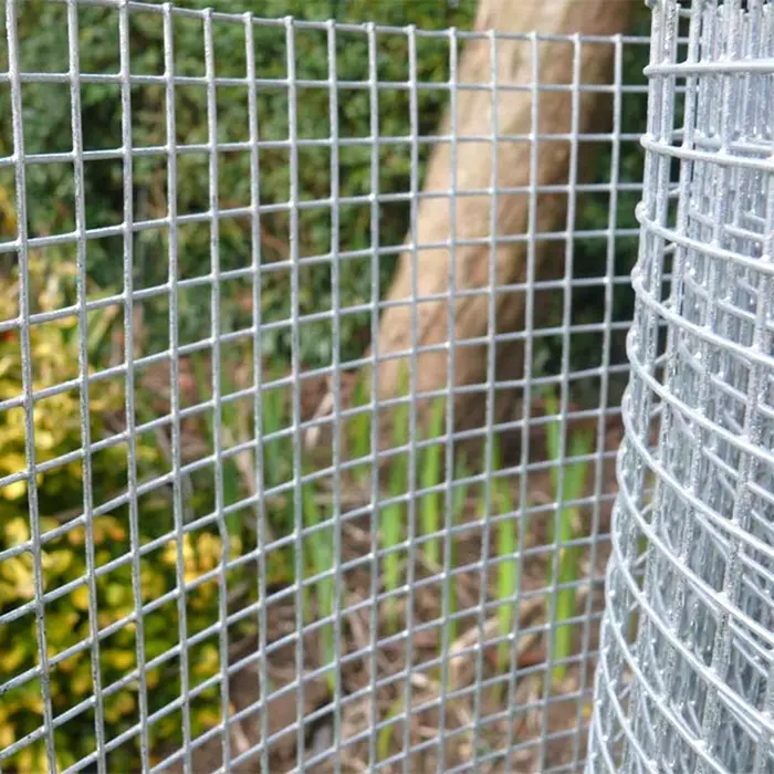 5×5 Galvanized Iron Wire Mesh Stainless Steel Welded Wire Mesh
