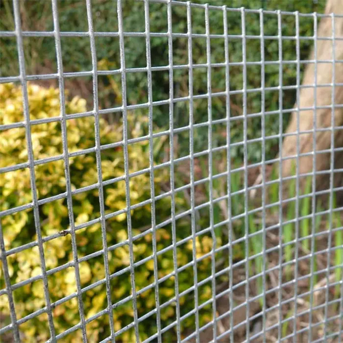 High-quality low-carbon steel wire welded mesh for livestock and plant fencing
