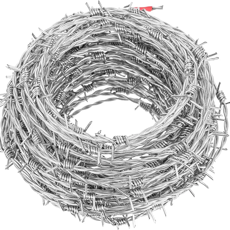 Anti-theft Fence Barbed Wire Double Strand Spot Goods