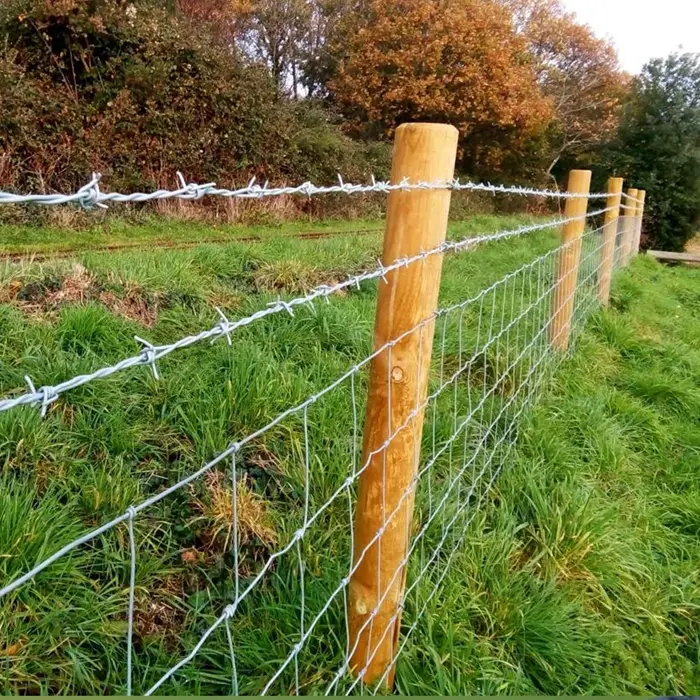 Wholesale Stainless Steel Barbed Wire Fence Rolls