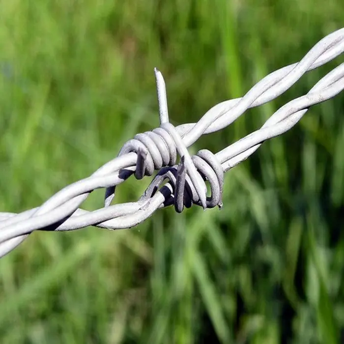 Application and advantages of barbed wire in fence construction