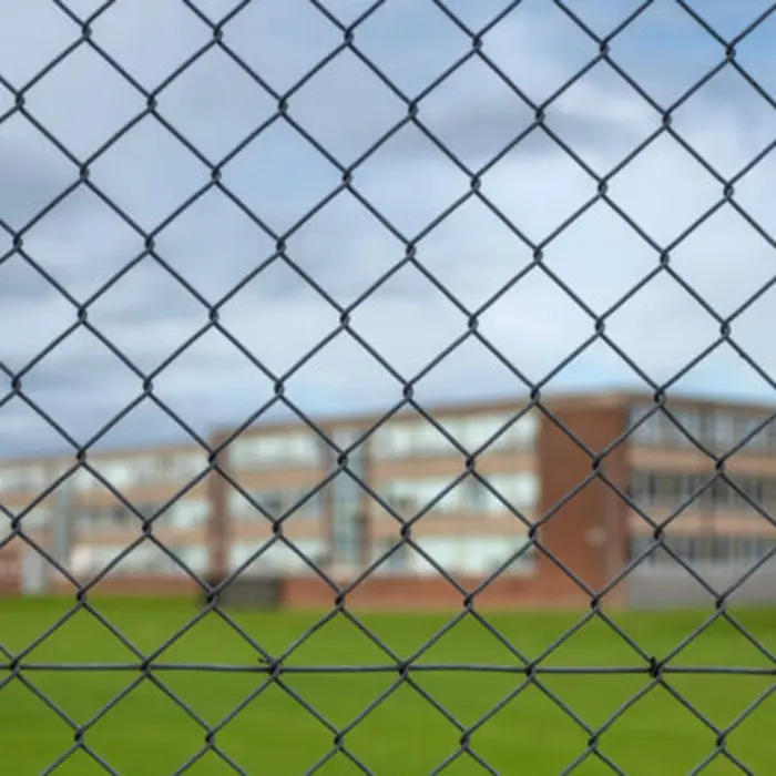 Custom Galvanized Stainless Steel Anti Climb Chain Link Fence
