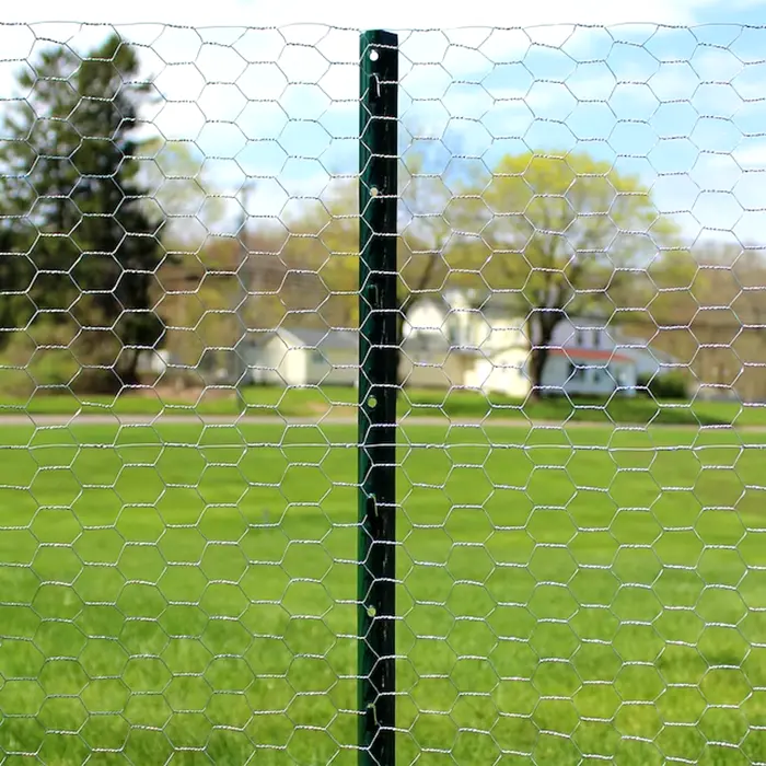 ODM Breeding Fence Stainless Steel Hexagonal wire mesh