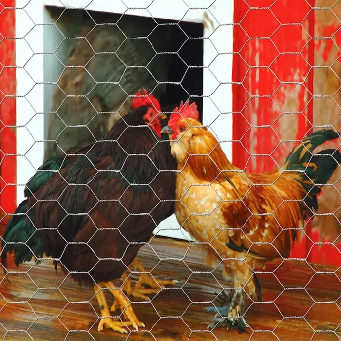 Introduction to breeding fence net and how to install it