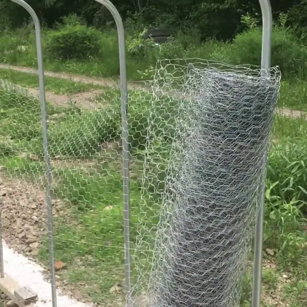 Galvanized steel diamond wire mesh chicken wire fence