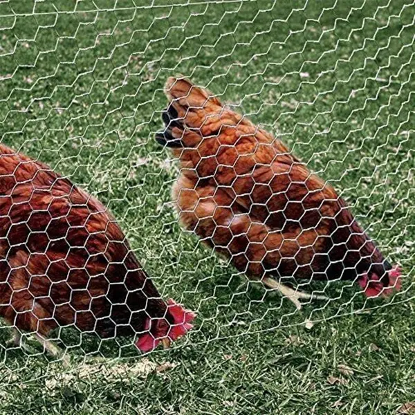 Wholesale ODM Hexagonal Wire Mesh For Breeding Fence