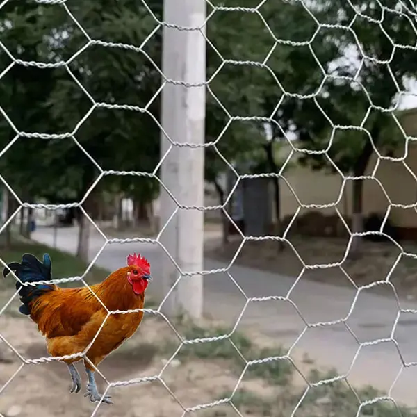 Corrosion-resistant low carbon steel wire galvanized metal wire hexagonal mesh