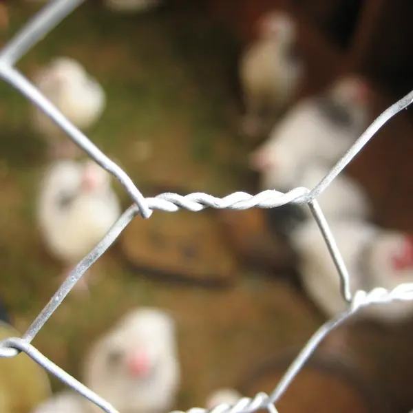 Hot-selling fence for breeding fence galvanized electric welding mesh