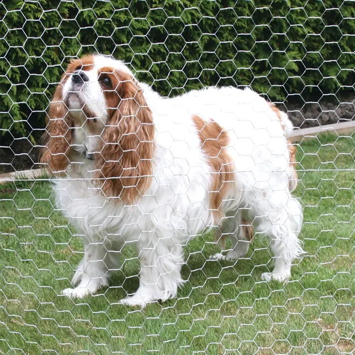 China wholesale price pvc coated hexagonal wire mesh fence for poultry farm mesh net