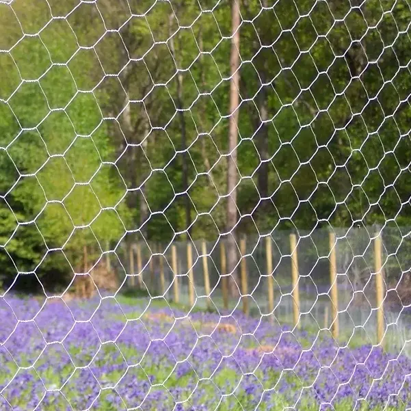 Poultry Breeding Hexagonal Weave Galvanized Iron Wire Mesh Netting Roll