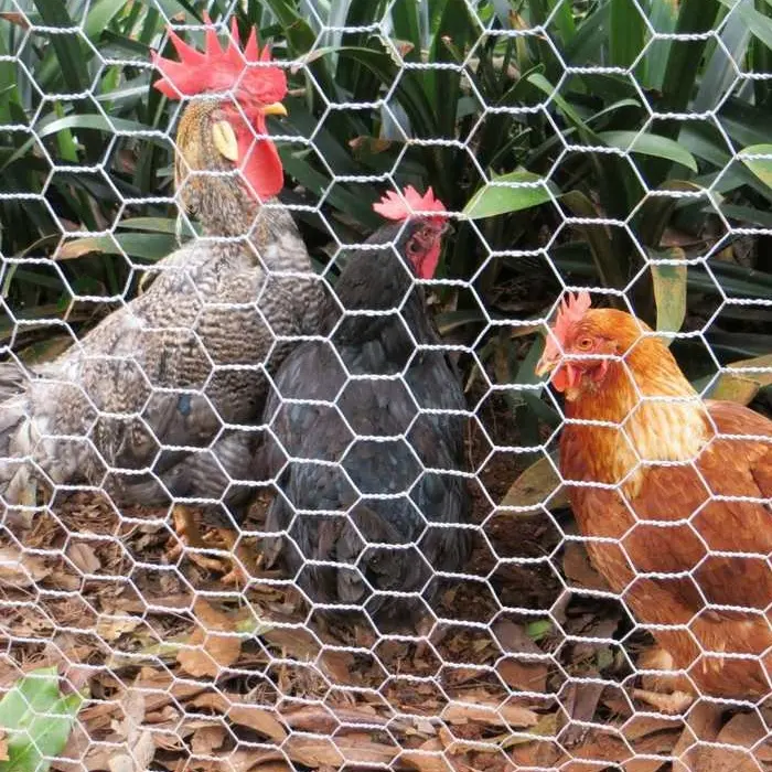 Factory High security fence Breeding Fence Exporters