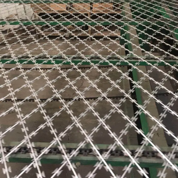 Stainless Steel Hot Dipped Galvanized Concertina Razor Barbed Wire Fence