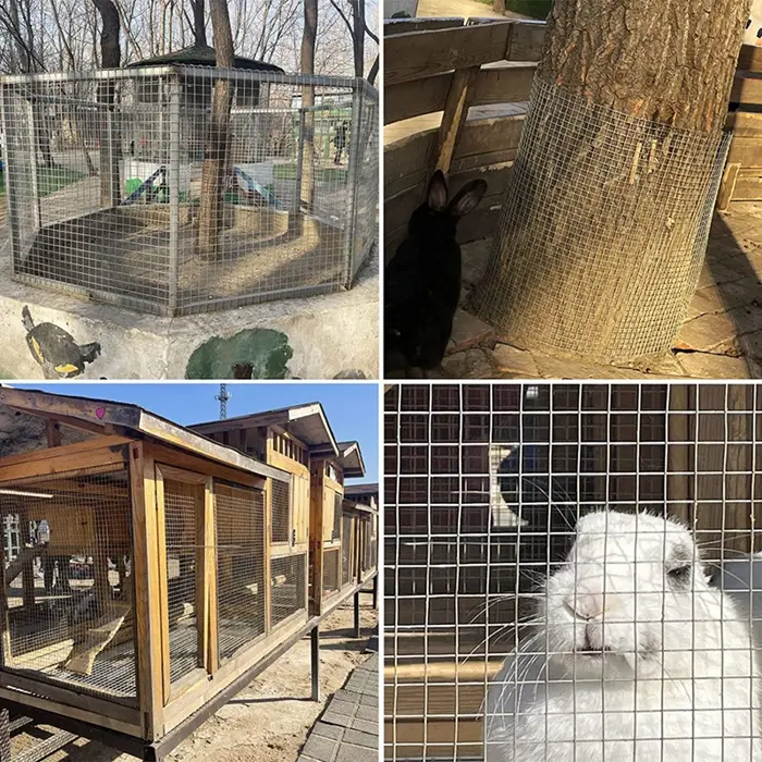 Galvanized Welded Wire Mesh Supplier Welded Wire Fence for Chicken Coop Animal Metal Cage