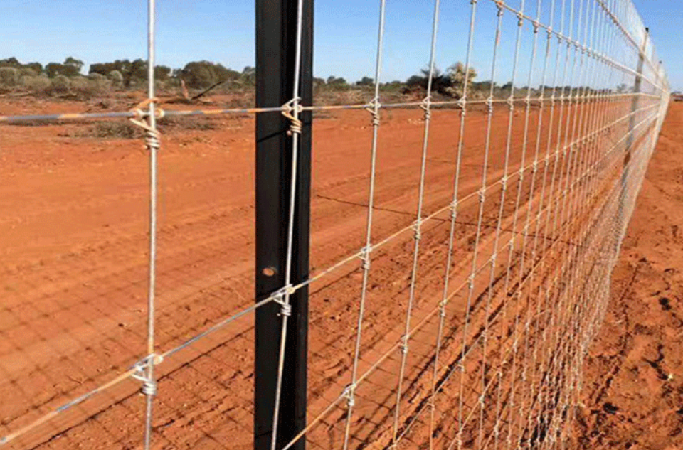 Flexible weaving, cattle fence net – the guardian of ranch safety Flexible weaving, cattle fence net – the guardian of ranch safety
