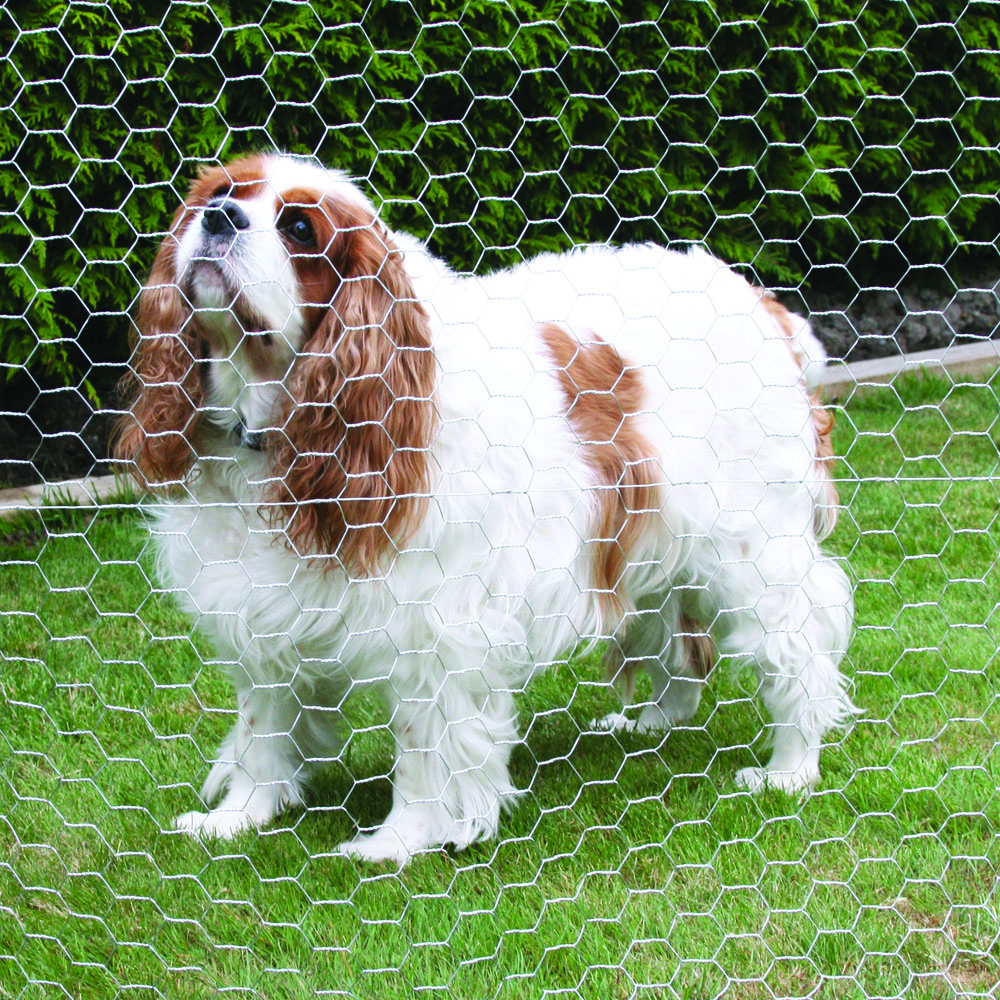Wholesale ODM Hexagonal Wire Mesh For Breeding Fence