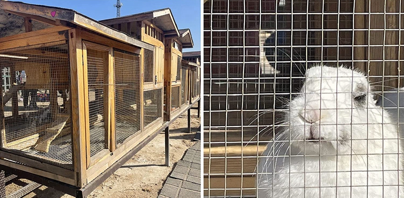 Wide application of welded mesh fence Wide application of welded mesh fence