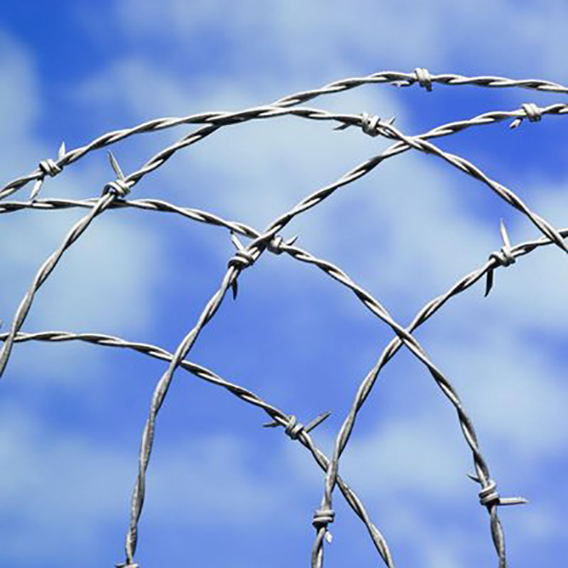 Custom-Made Double Twist Razor Wire Roll Barbed Wire Fence