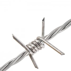 Hot Dip Galvanized iron barbed wire Mesh for Farm Prevent Climbing Fence
