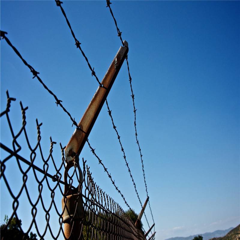 Custom-Made Double Twist Razor Wire Roll Barbed Wire Fence