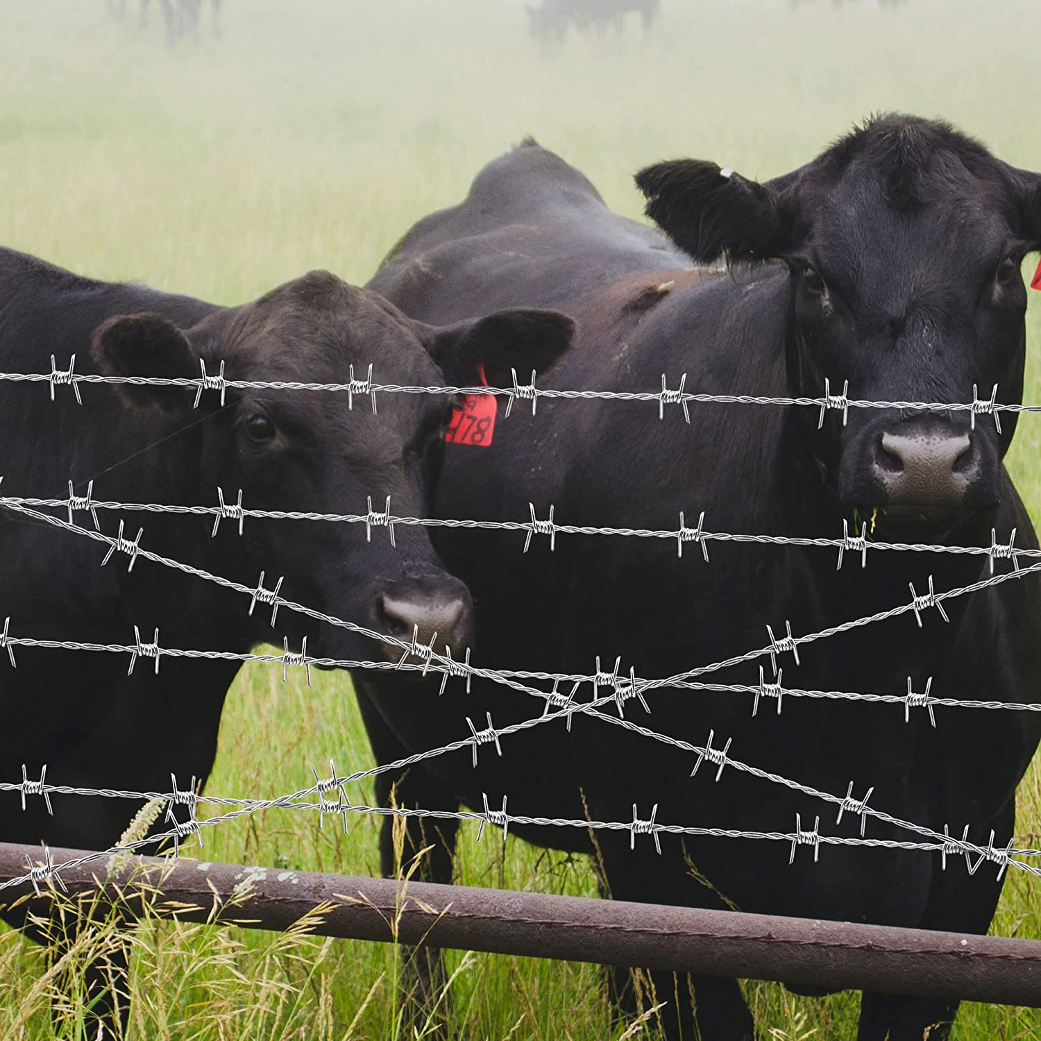 The main 4 functions of barbed wire The main 4 functions of barbed wire