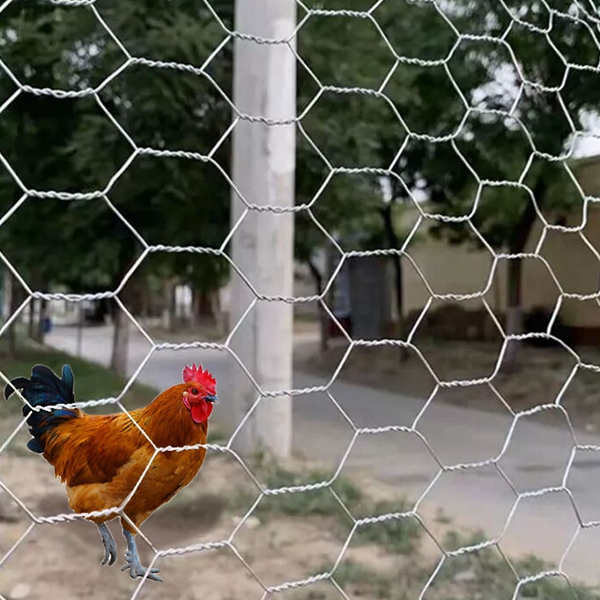 Galvanized 1/2″ 3/4 inches hexagonal wire mesh fencing