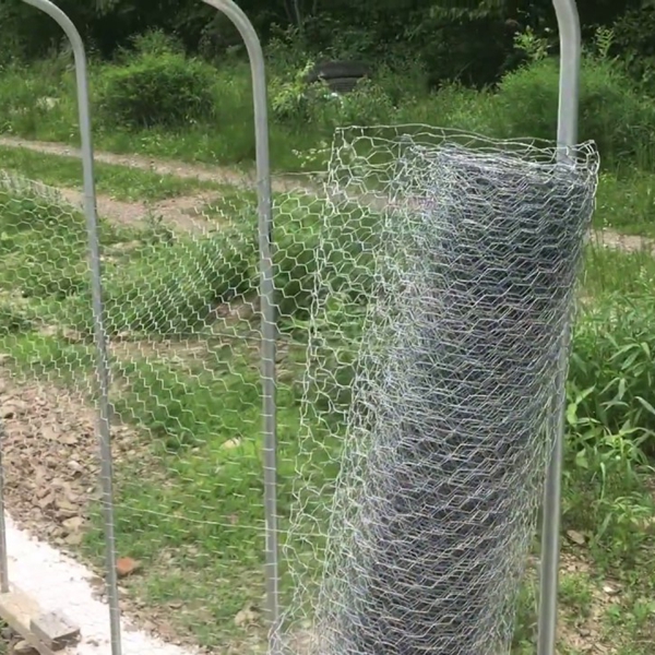 poultry farms fence/hexagonal wire netting/chicken wire mesh