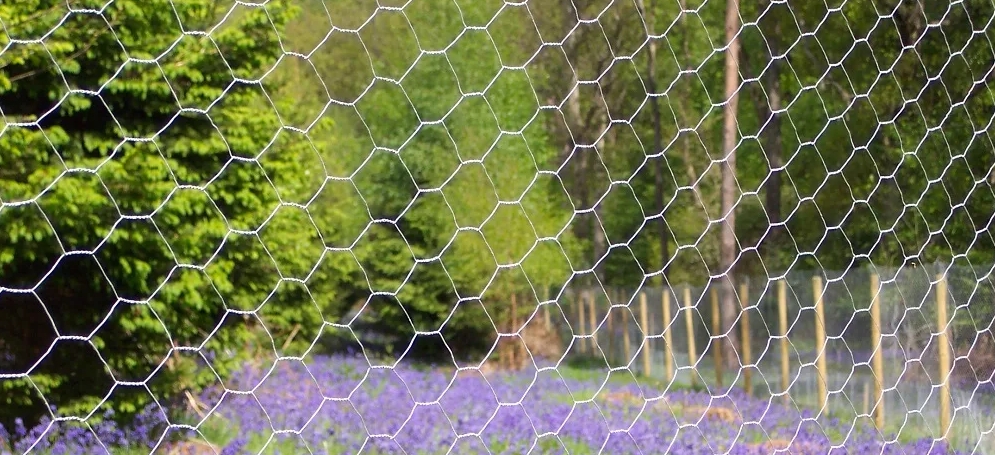Hexagonal mesh fence: efficient, durable and environmentally friendly breeding fence Hexagonal mesh fence: efficient, durable and environmentally friendly breeding fence