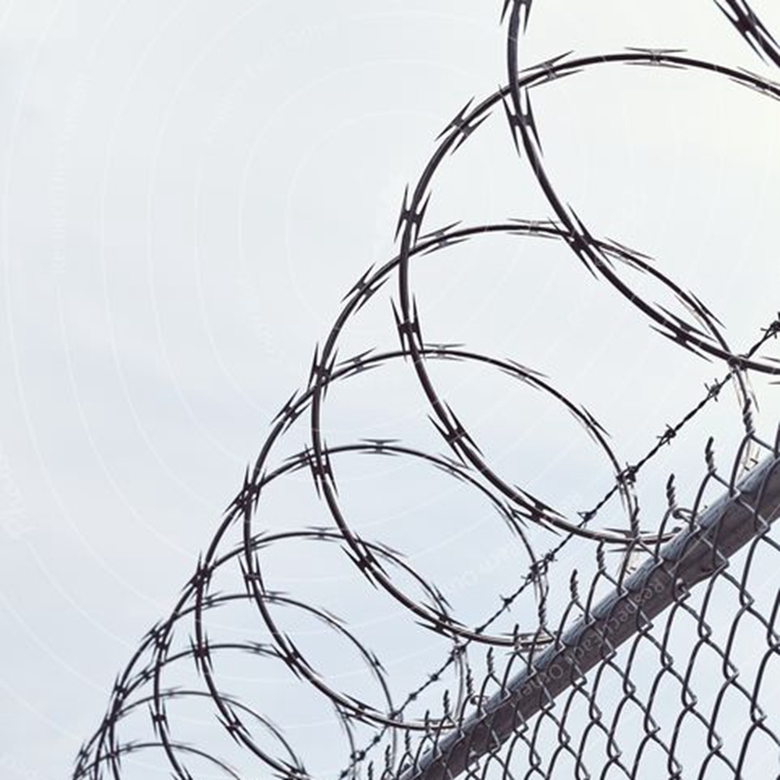 Wall blade barbed wire Wall blade barbed wire