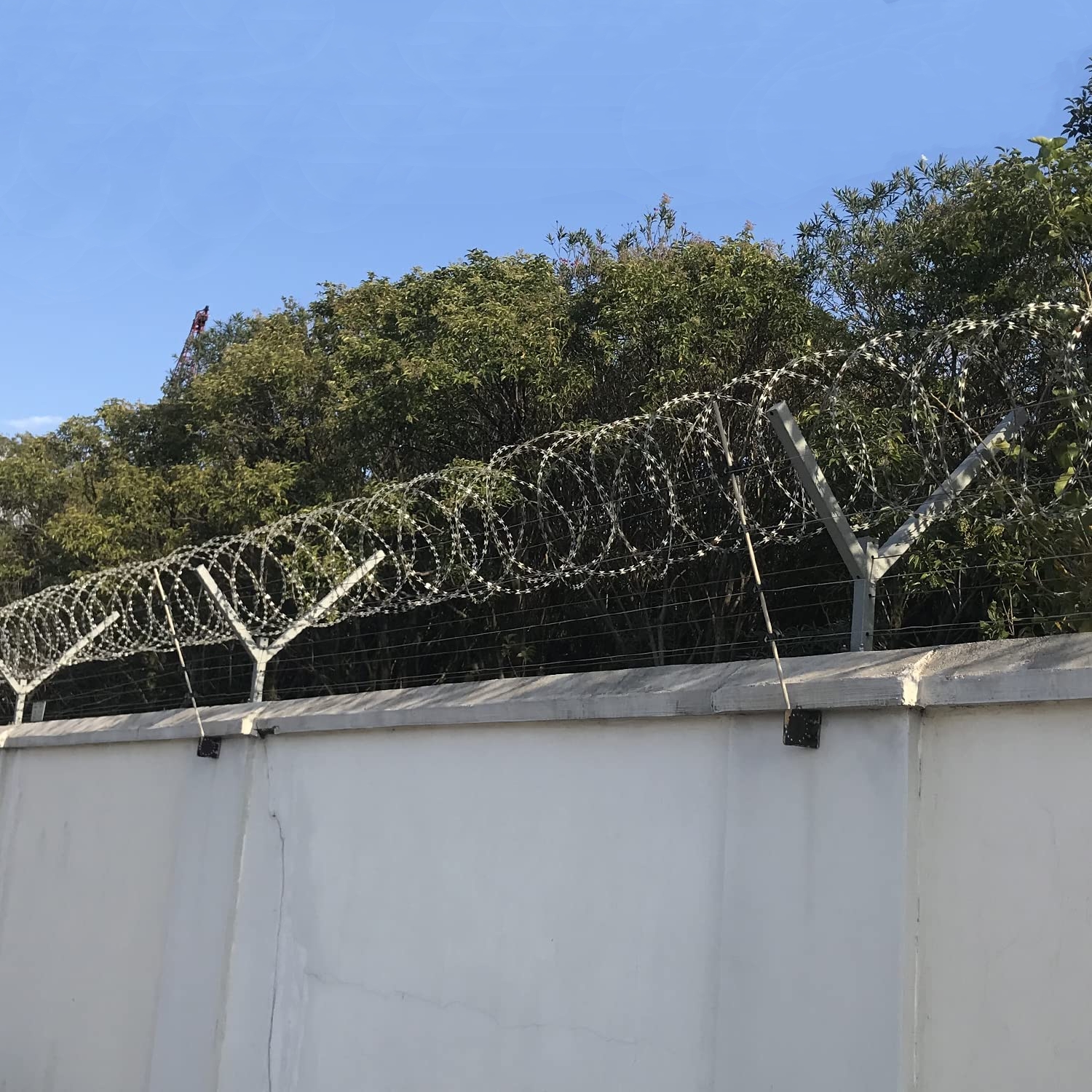 Galvanized Razor Wire Razor Barbed Wire fence