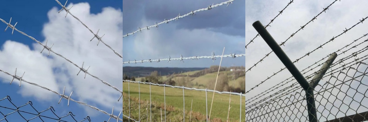 Details and quality in the manufacturing process of barbed wire Details and quality in the manufacturing process of barbed wire